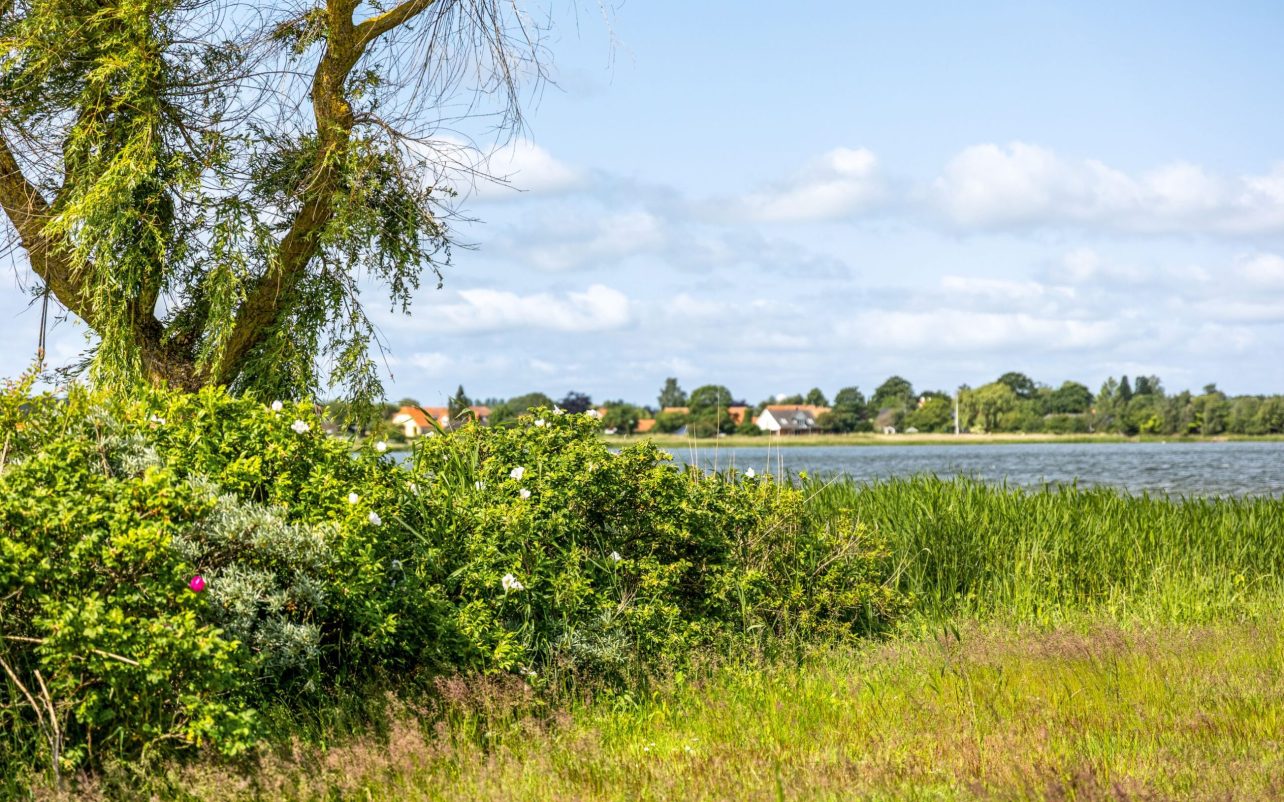 Haven og udsigten