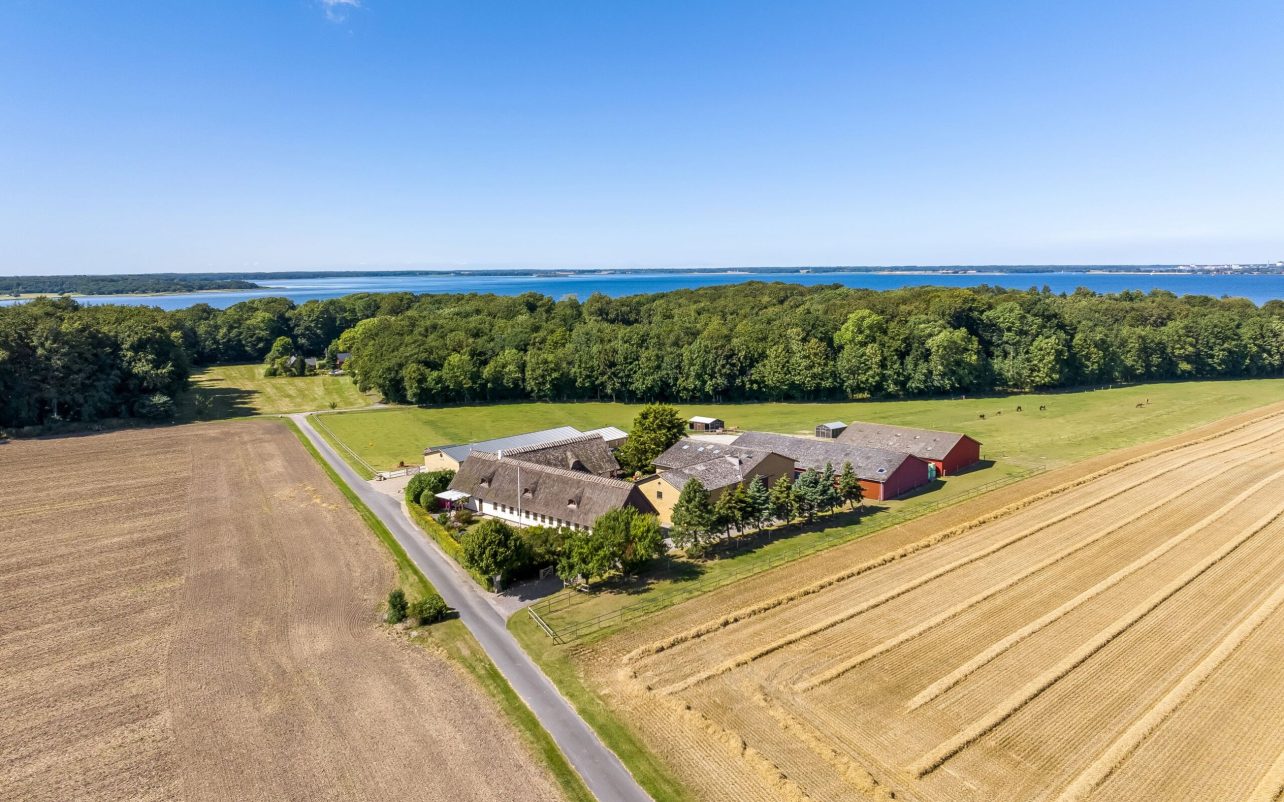 Ejendommen