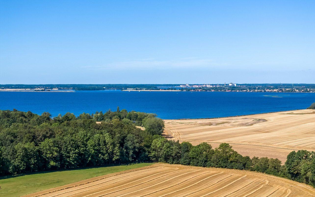 Omgivelserne