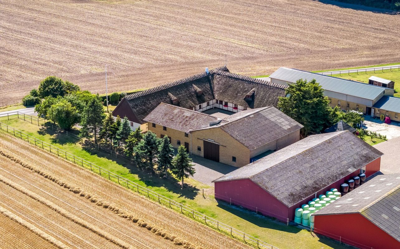 Ejendommen