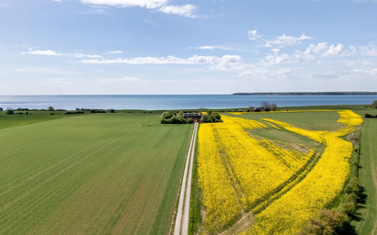 Ejendommen og beliggenheden