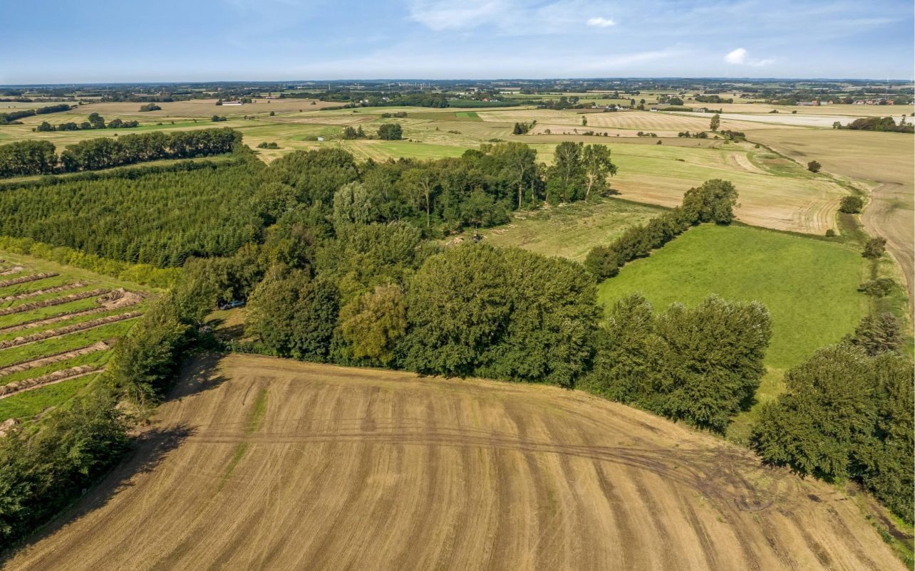 Omgivelserne