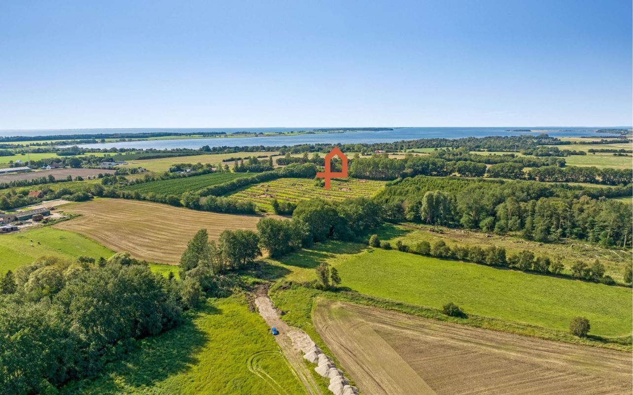 Omgivelserne