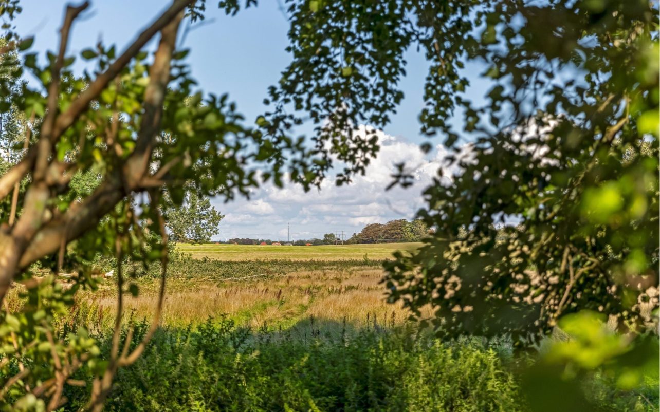 Udsigten