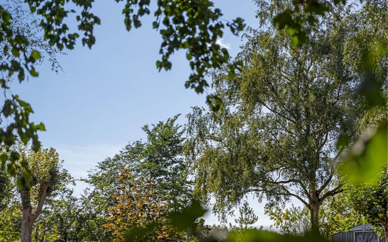 Højt til himlen
