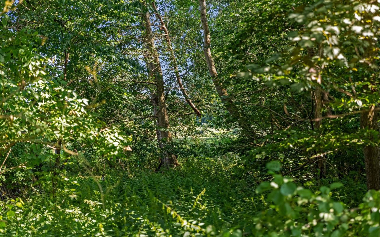 Grunden
