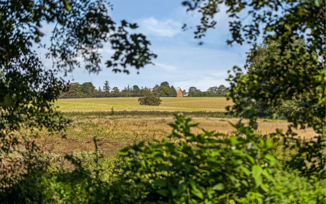 Udsigten