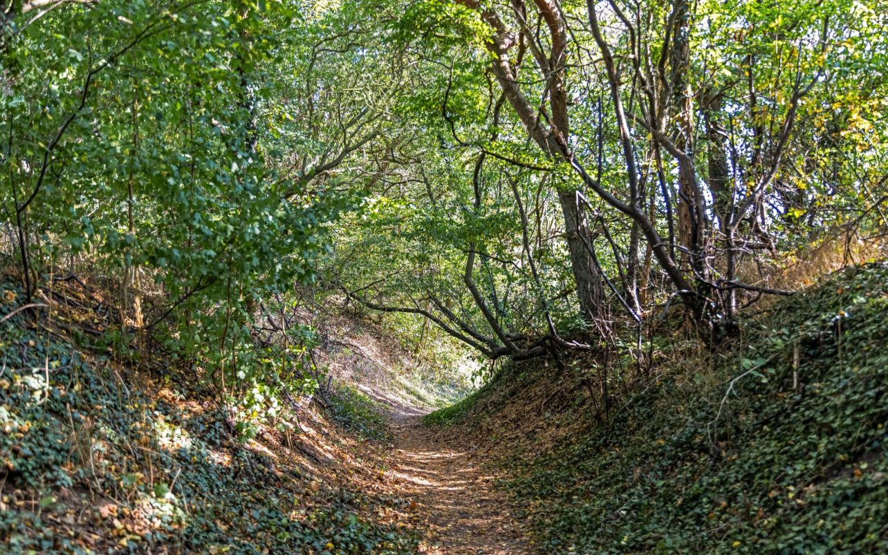 Stien ned til stranden