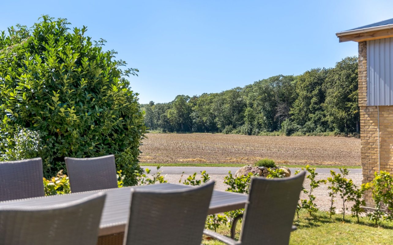 Terrasse og udsigt fra lejlighederne