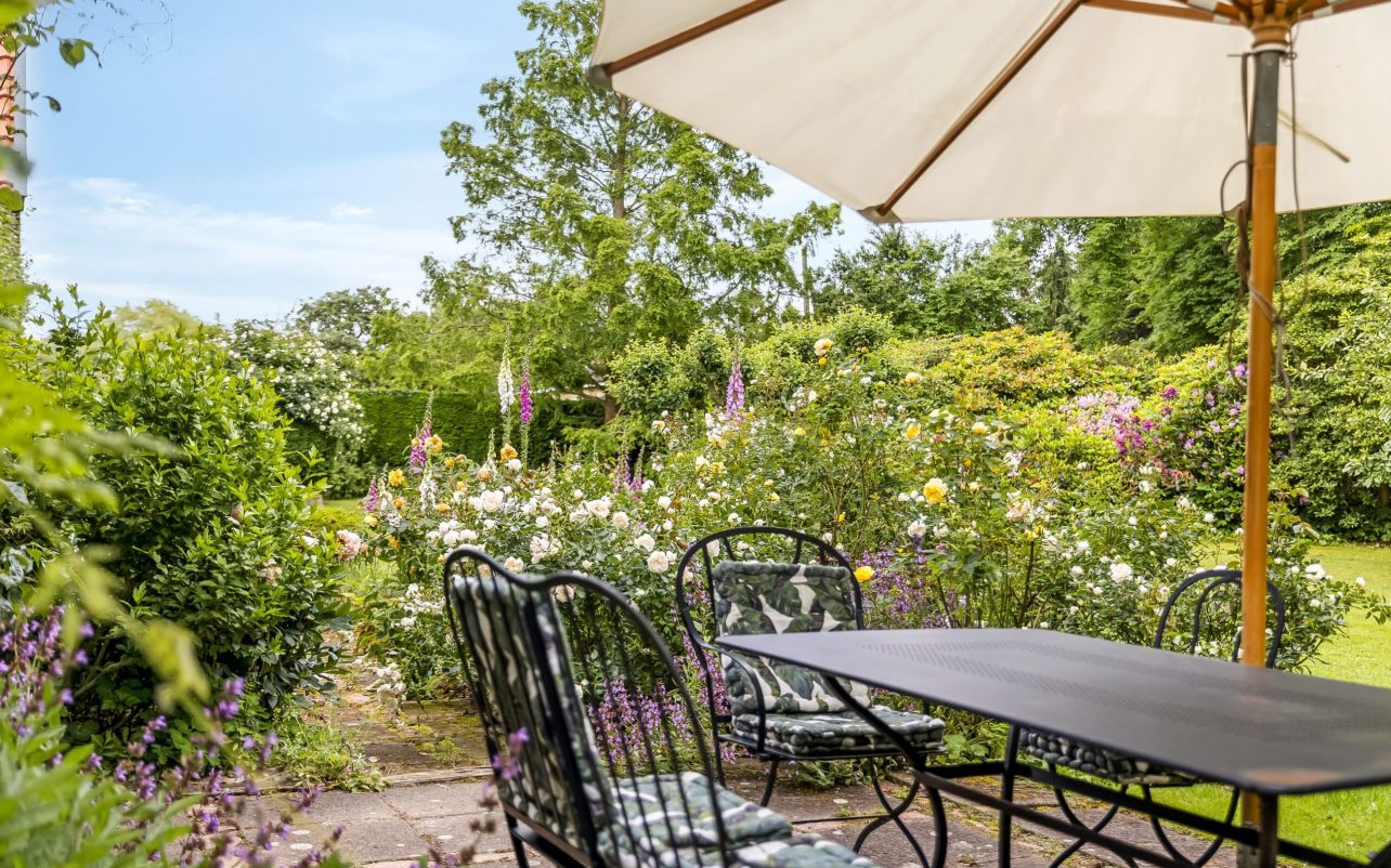 Forhaven og terrasse