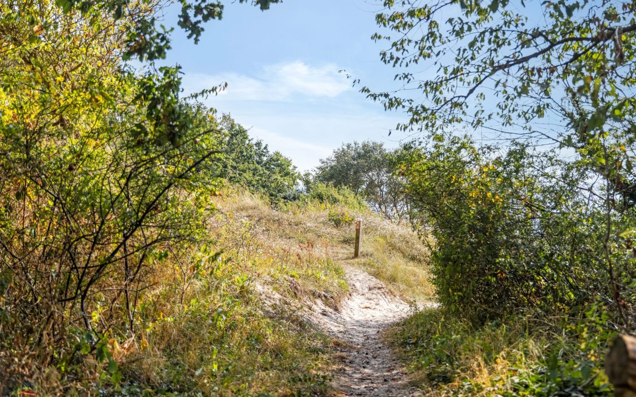 Stien ned til stranden