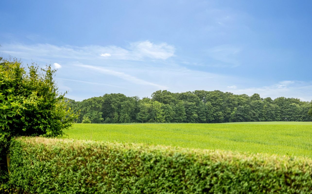 Udsigten