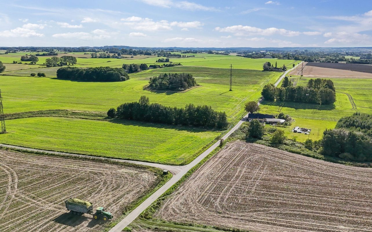 DJI-20250926123028-0593-D.jpg