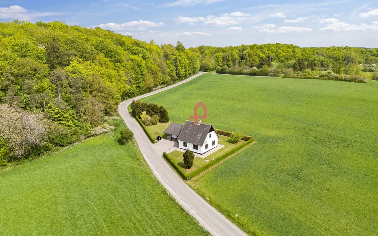 Ejendommen