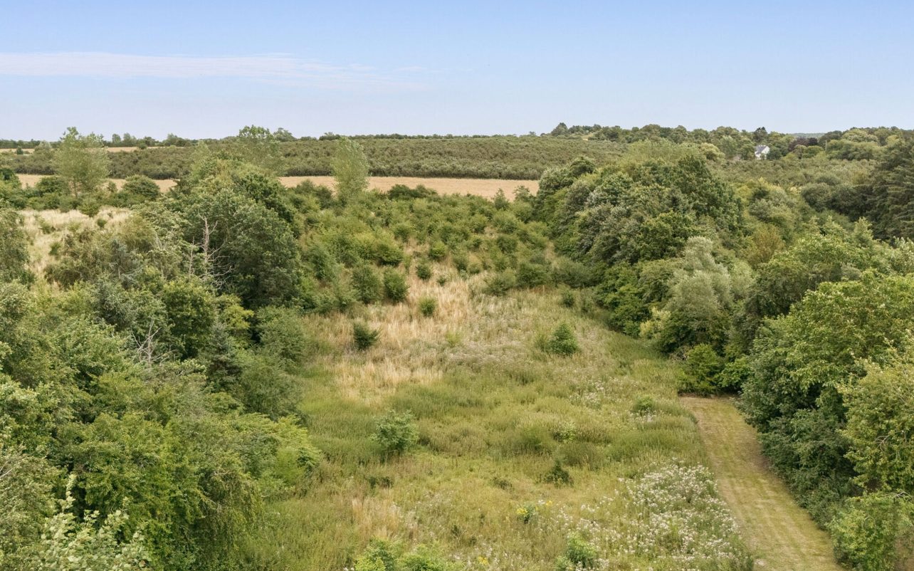 Grunden