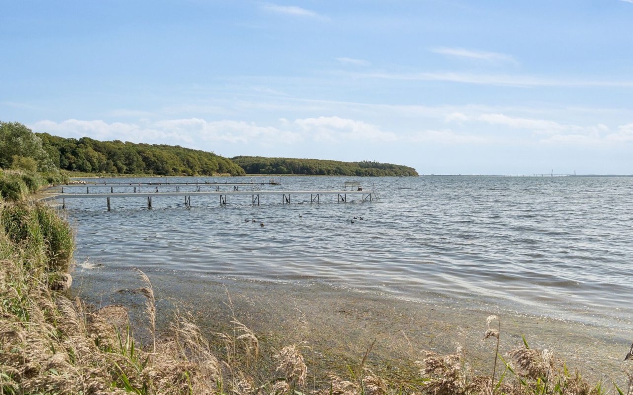 Omgivelser
