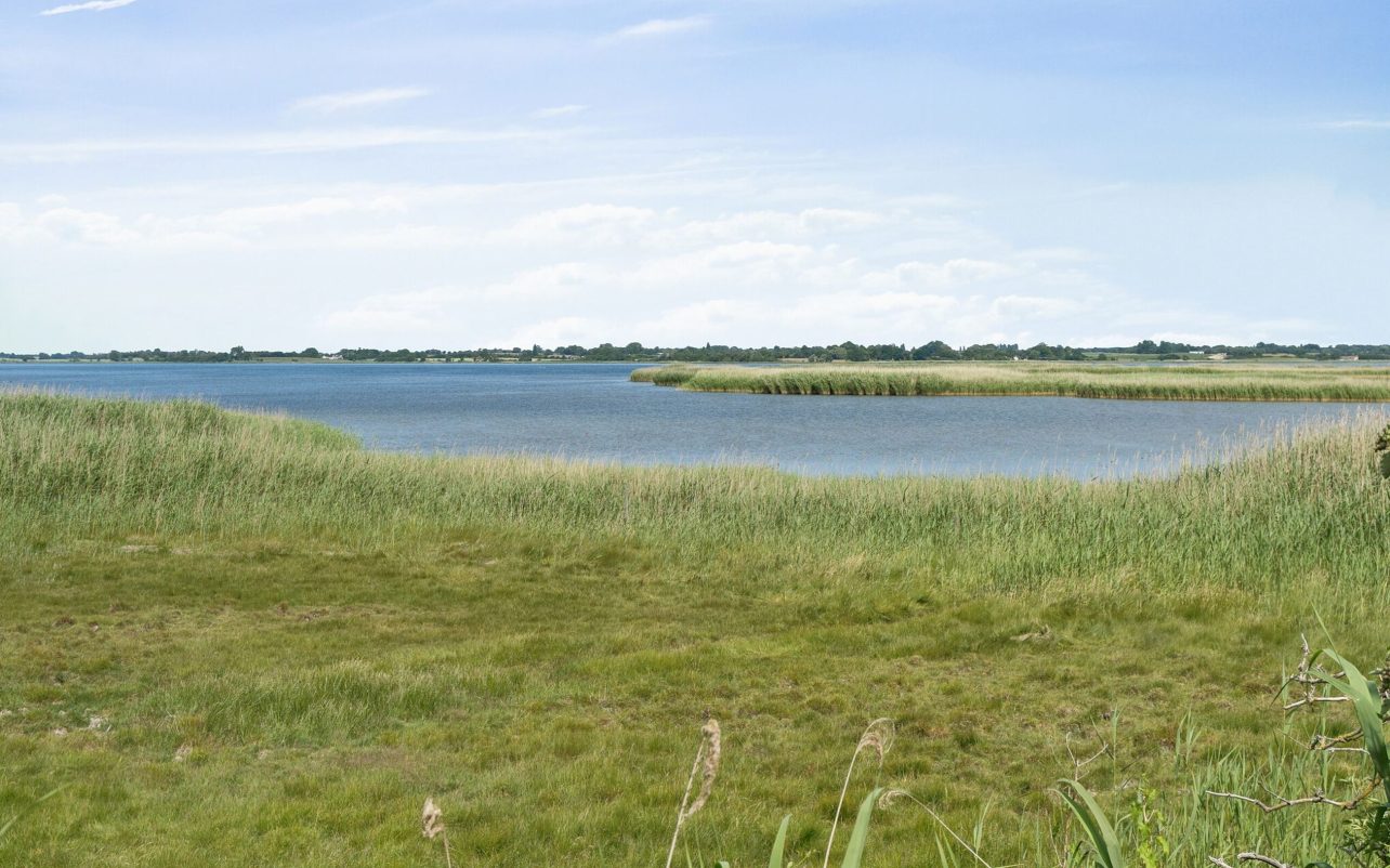 Omgivelser