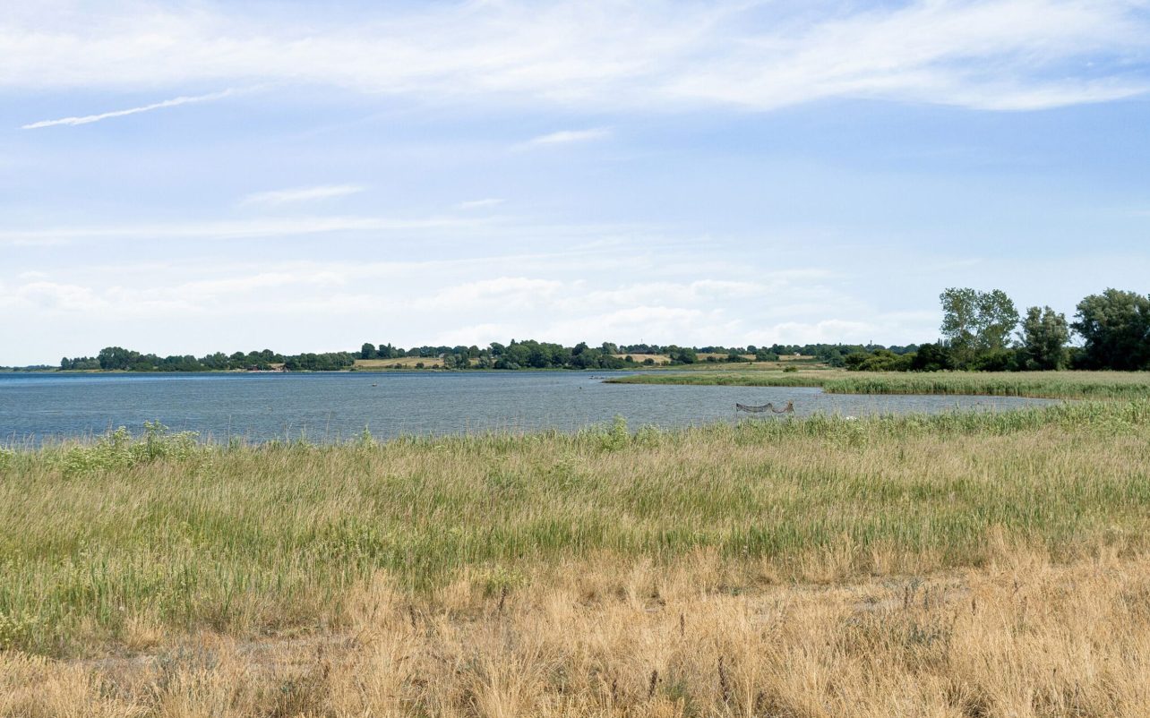 Omgivelser