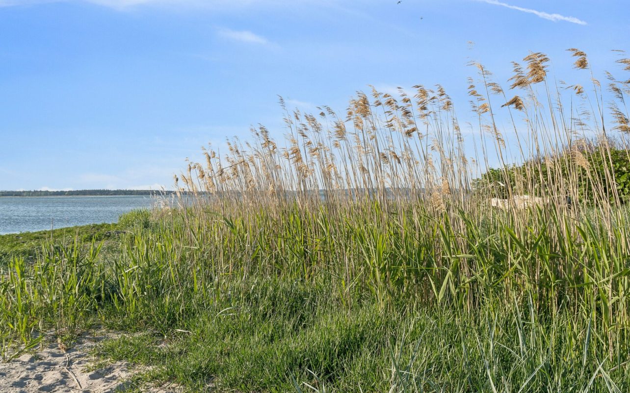 DSC08725.jpg