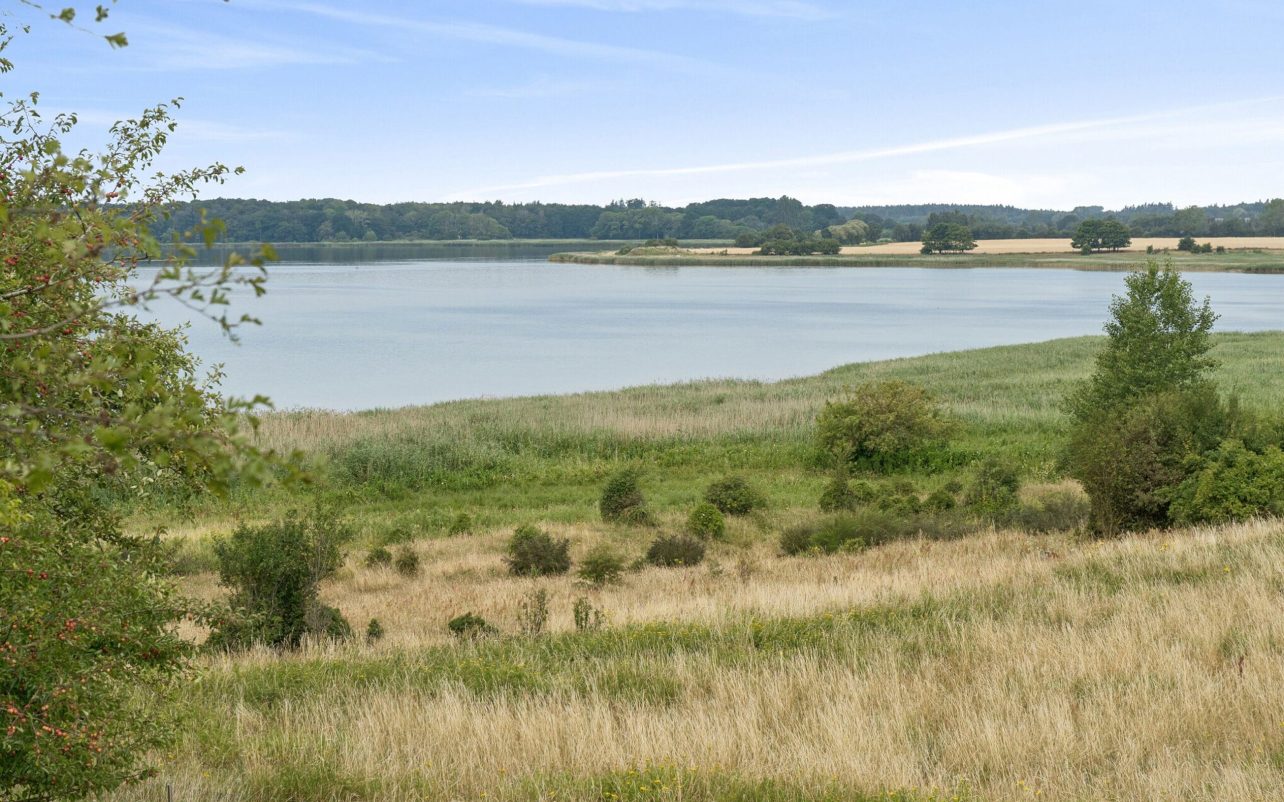 Omgivelser