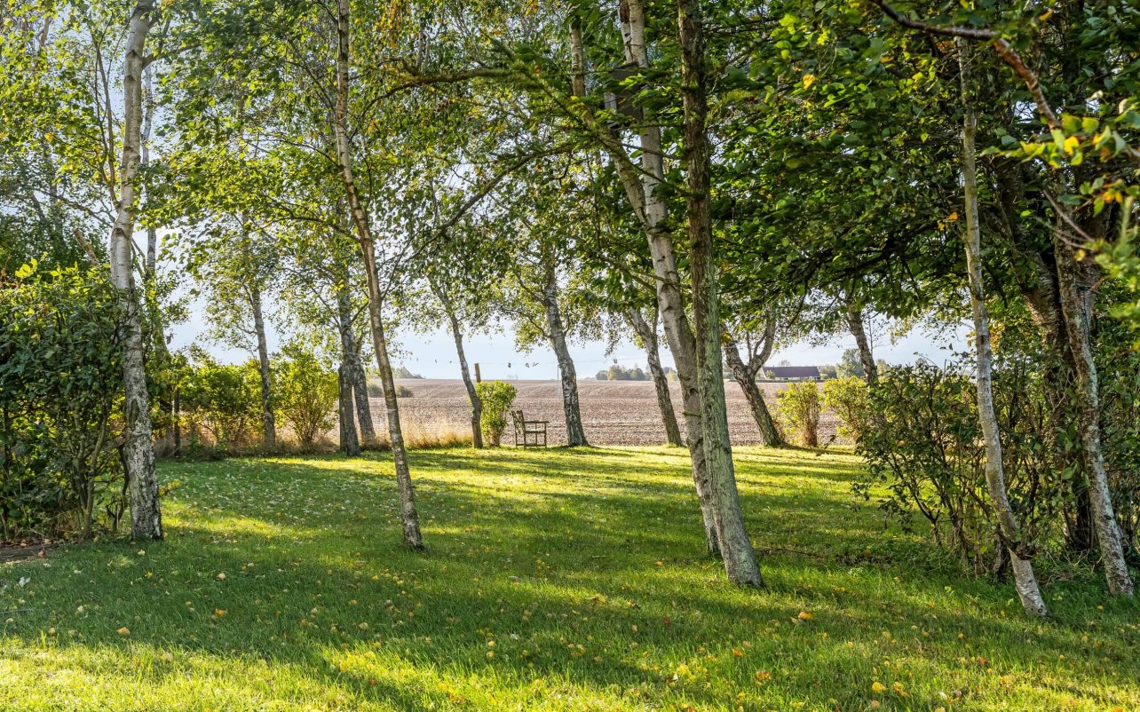 Ejendommen