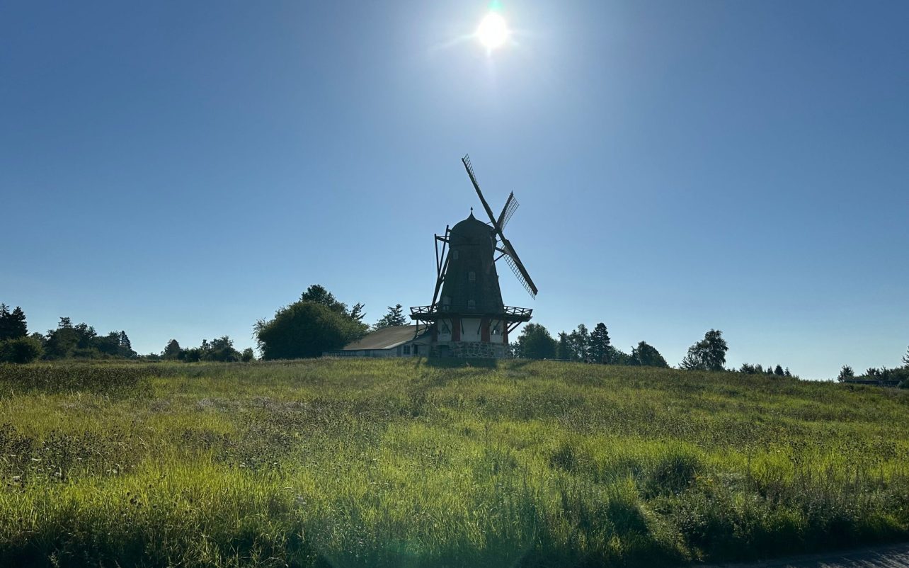 Stemningsbilleder fra selve BogÃ¸ - skolen