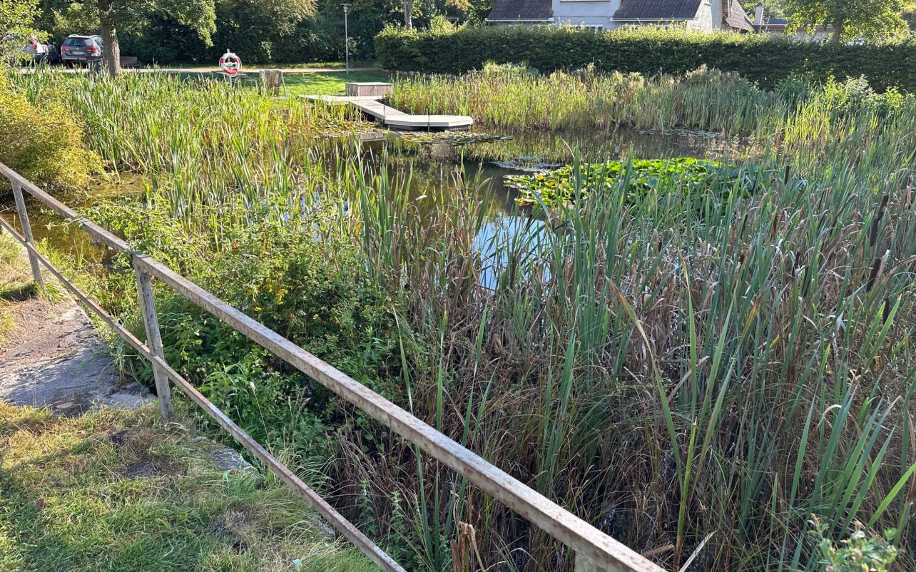 Stemningsbilleder fra selve BogÃ¸