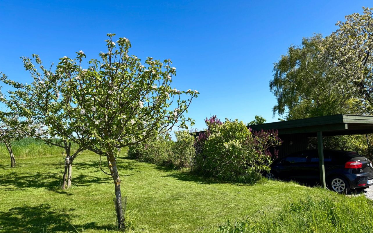 Carport