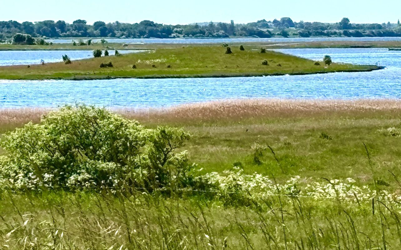 IMG_5006.jpg
