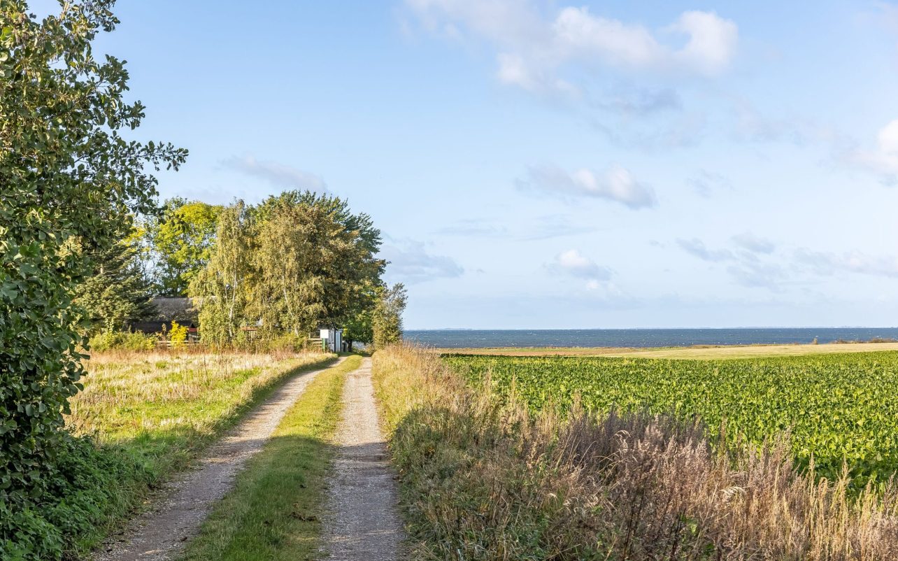 Vejen op til ejendommen