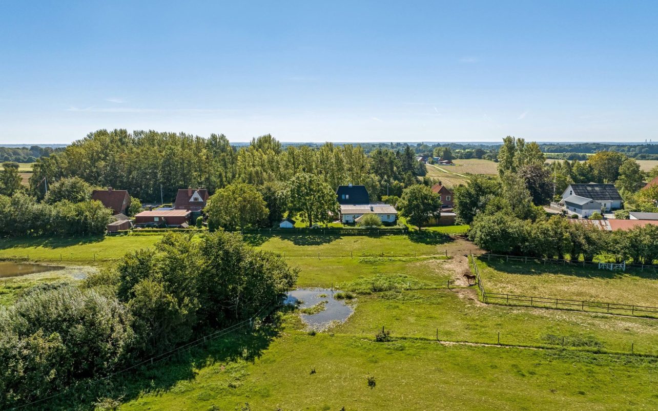 Omgivelserne